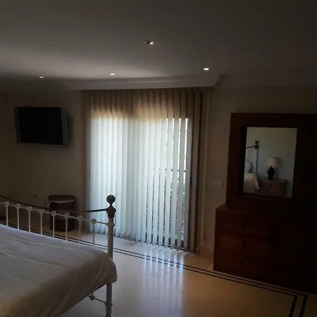 Luisa Villa *